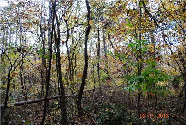 3501 Cove Road Chickamauga, GA 30707 - Photo 24 of 24 Additional Photo