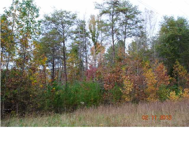 3501 Cove Road Chickamauga, GA 30707 - Photo 4 of 24 Additional Photo