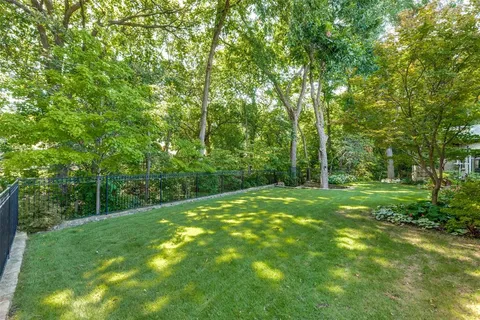 a view of a lush green space