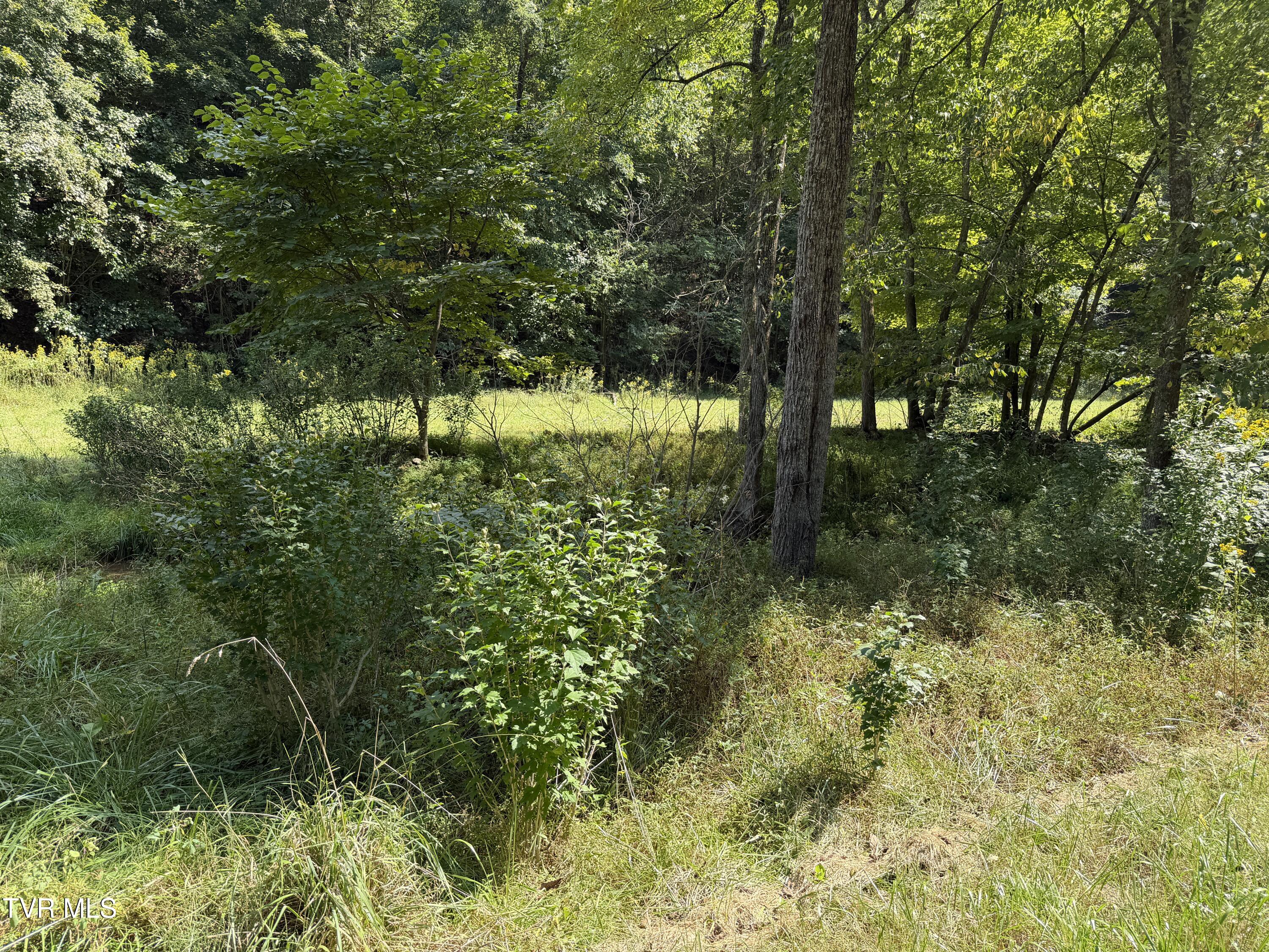 Lot 2 Greggs Branch Road Butler, TN 37640 - Photo 2 of 4 IMG_5854