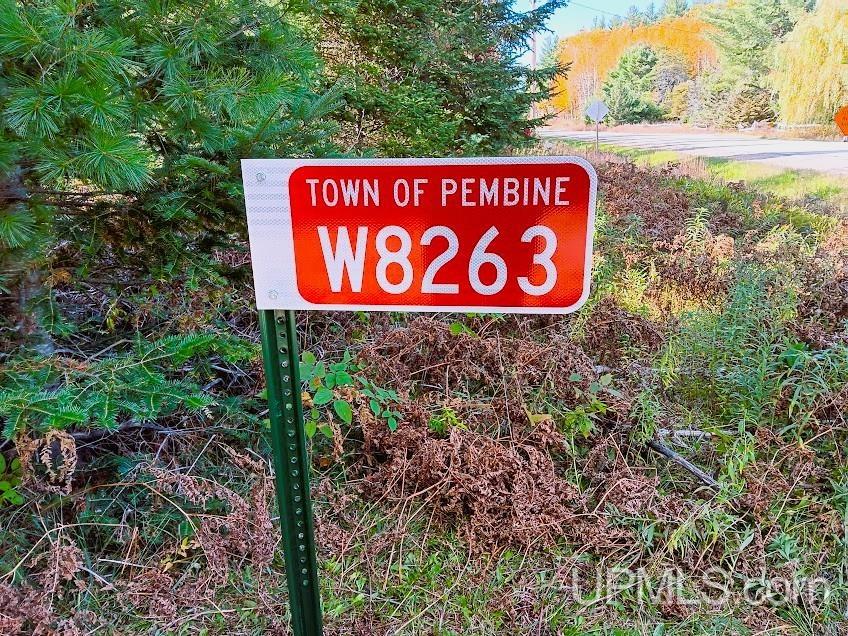T-wi Wi 54156 Road Pembine, WI 54156 - Photo 3 of 17