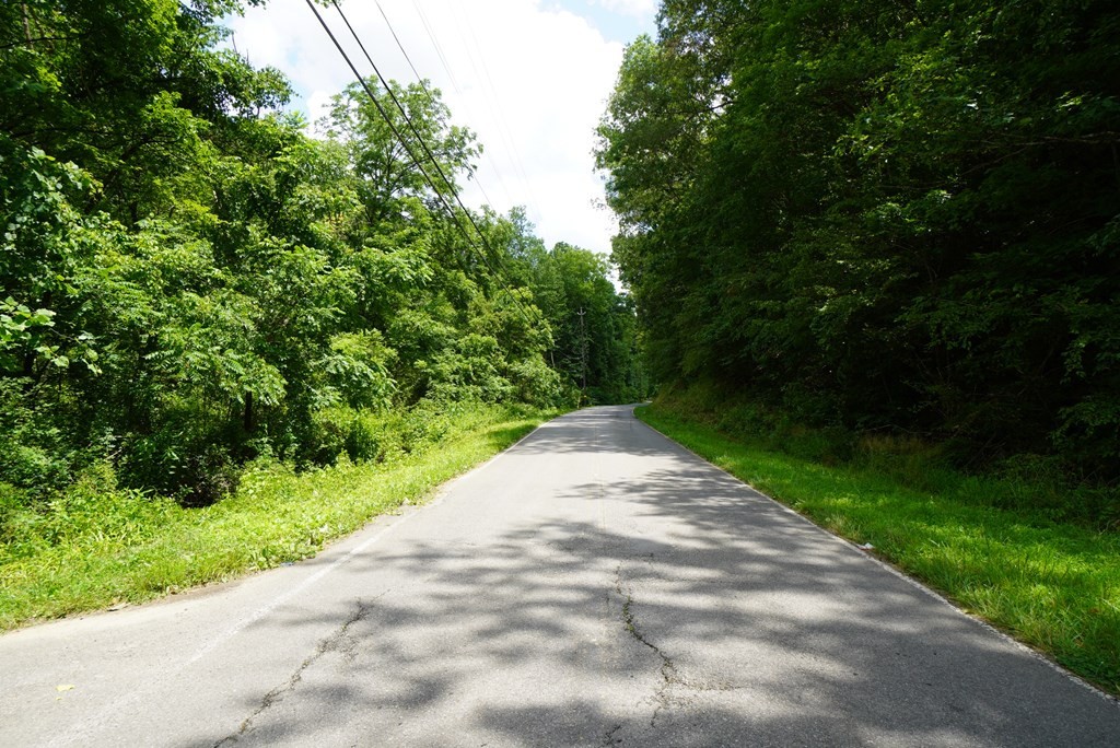 3301 Joppa Mountain Road Rutledge, TN 37861 - Photo 24 of 50 Gallery Image 24
