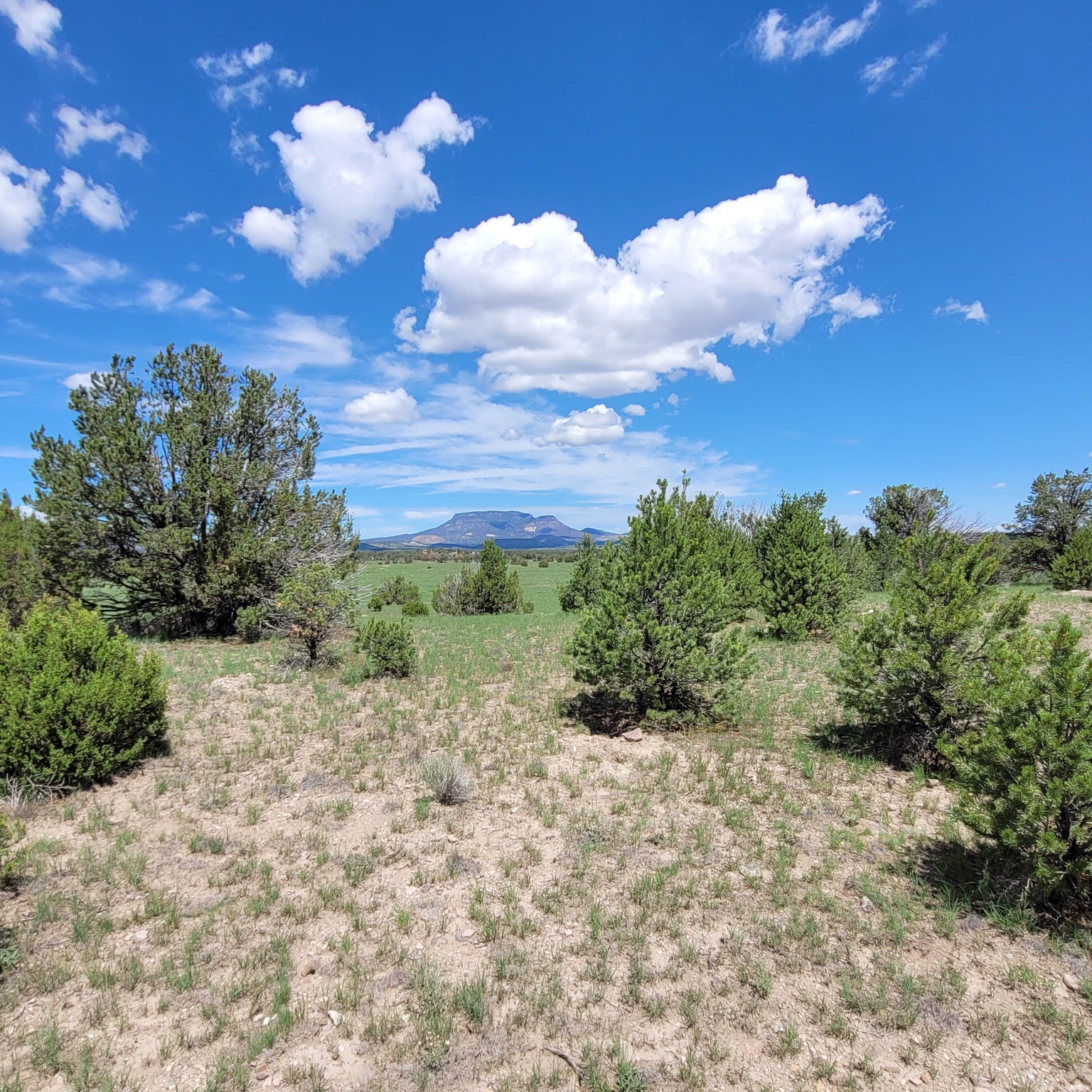 1 Frontier Trail, Unit 17 18 Datil, NM 87821 - Photo 5 of 30 Gallery Image 5