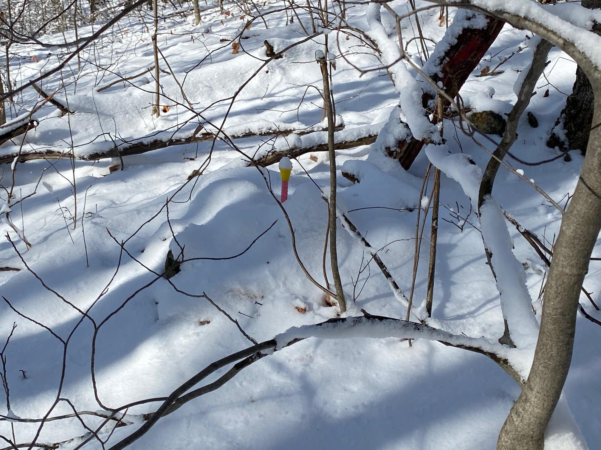 0 Pillsbury Road Garland, ME 04939 - Photo 4 of 13 4