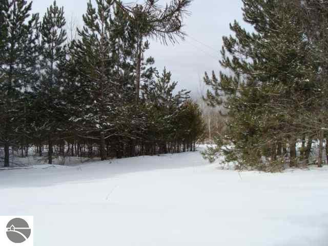 7512 Wood Road Kingsley, MI 49649 - Photo 10 of 11 1713866-9.JPG