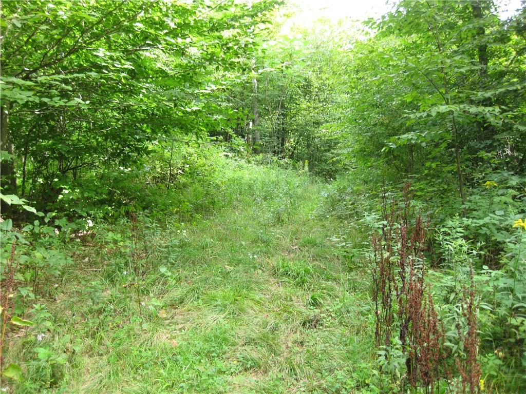 Cutler Road Swan Lake, NY 12783 - Photo 1 of 1 Gallery Image 1