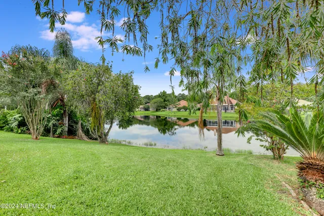 a view of a backyard