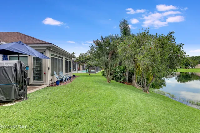 a view of a garden with a tree