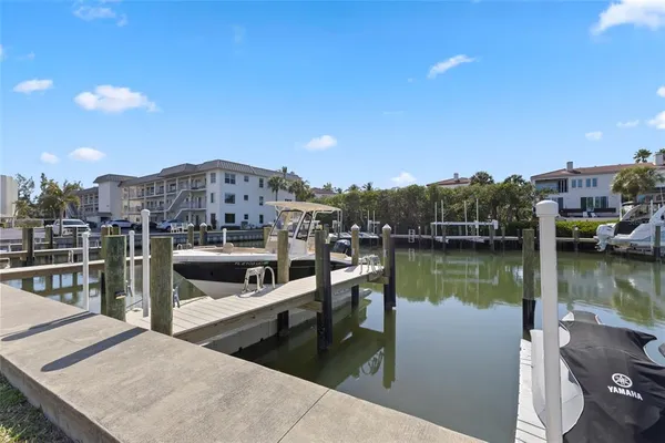 a view of a park with plants and trees