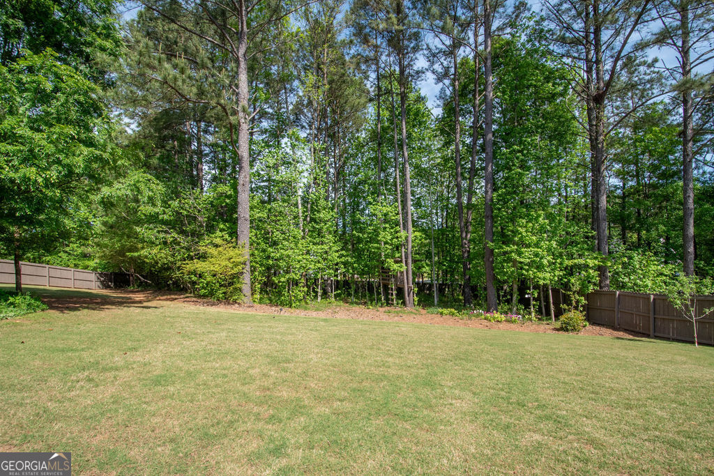 110 Beresford Road Tyrone, GA 30290 - Photo 61 of 86