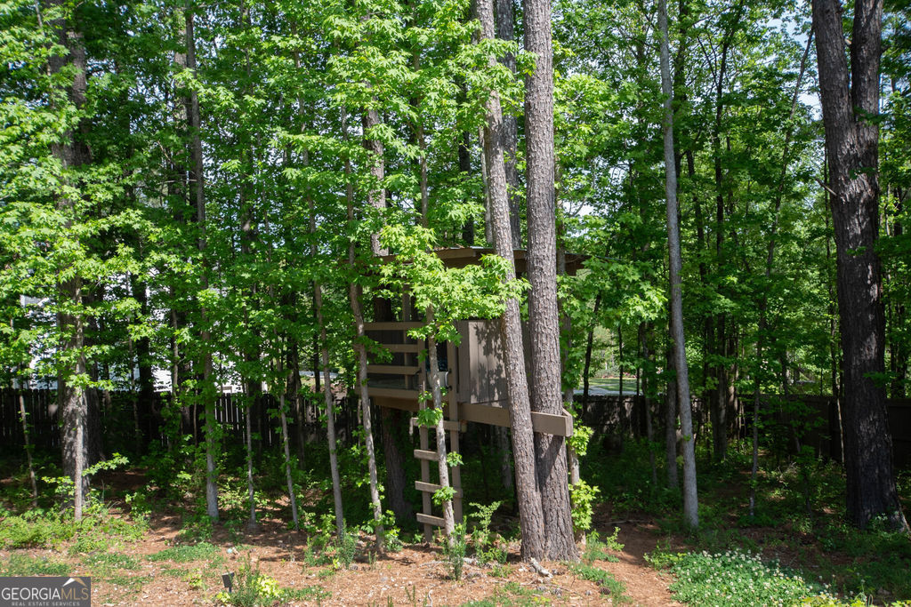 110 Beresford Road Tyrone, GA 30290 - Photo 63 of 86