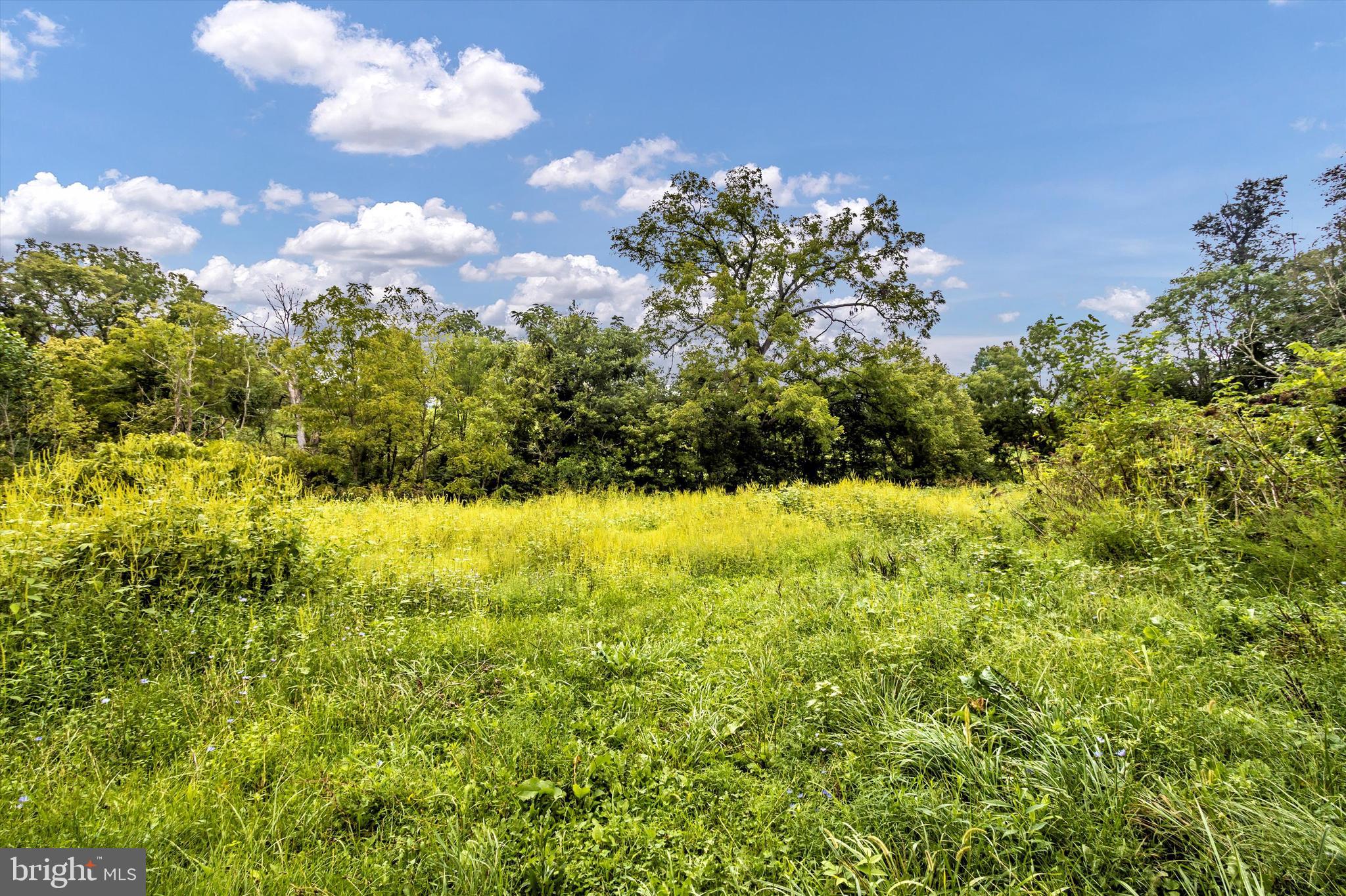 5519 Gapland Road Jefferson, MD 21755 - Photo 47 of 50 Gallery Image 47