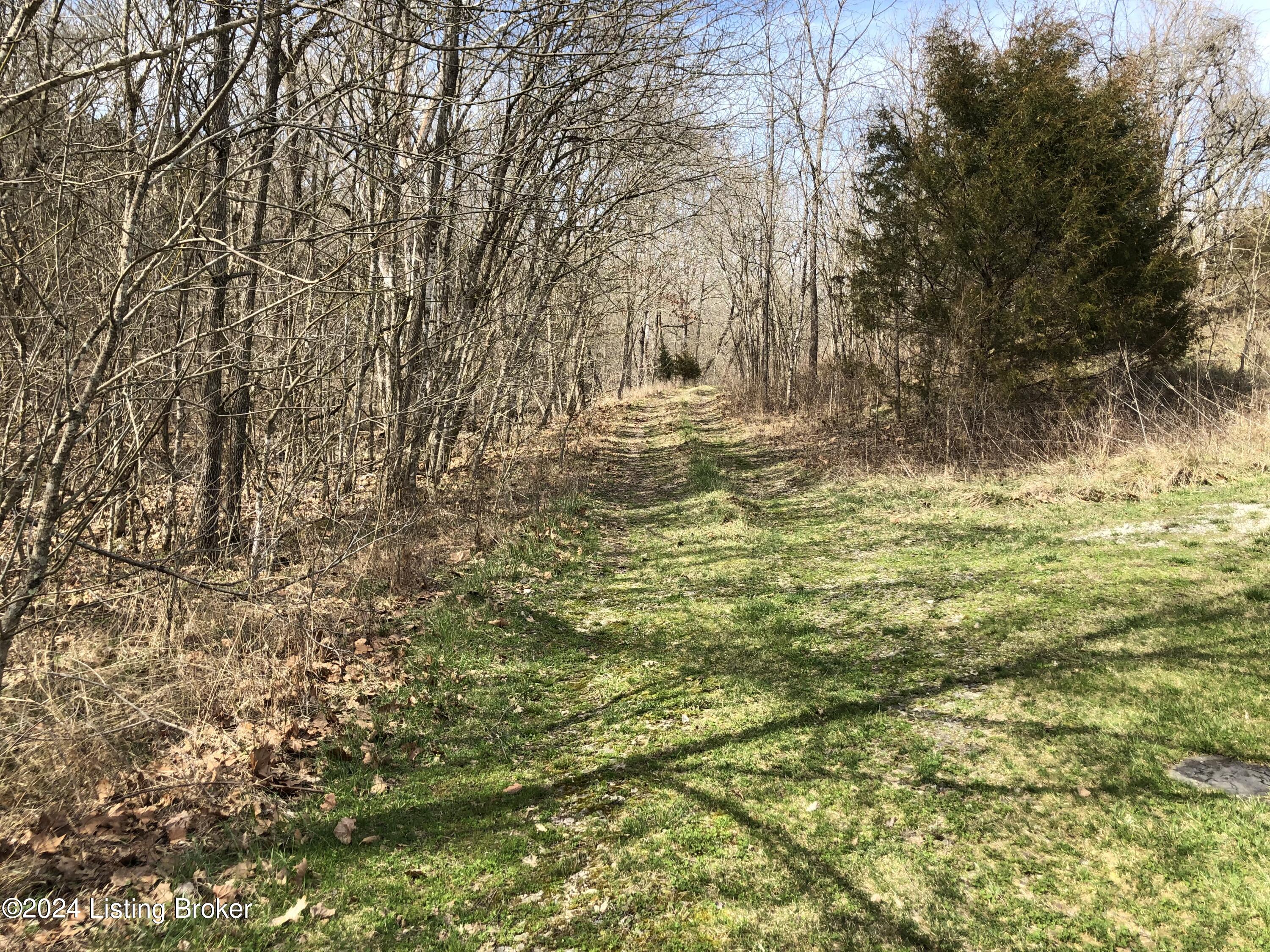 1743 Albert Moore Road Lockport, KY 40036 - Photo 26 of 45 IMG_4350