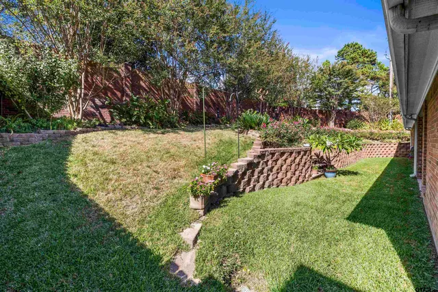 a view of a garden with a bench