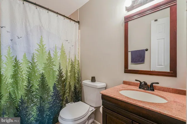 a bathroom with a sink a toilet and a mirror