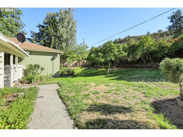 a backyard of a house with plants and large trees