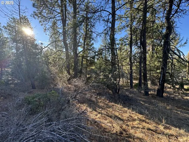 a view of a large yard with lots of bushes