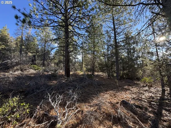$17,000 | Hummingbird Drive, Unit 13, Bonanza, OR 97623