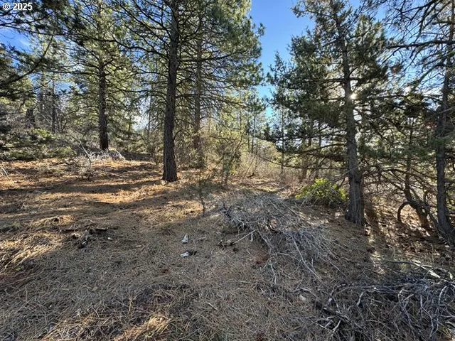 $17,000 | Hummingbird Drive, Unit 13, Bonanza, OR 97623