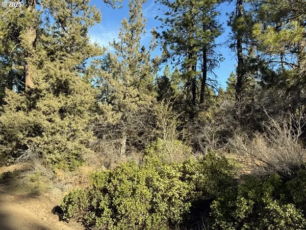 $17,000 | Hummingbird Drive, Unit 13, Bonanza, OR 97623