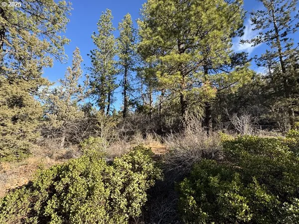 $17,000 | Hummingbird Drive, Unit 13, Bonanza, OR 97623