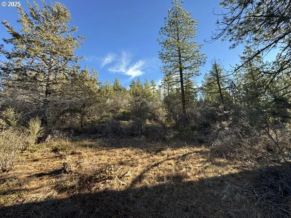 $17,000 | Hummingbird Drive, Unit 13, Bonanza, OR 97623