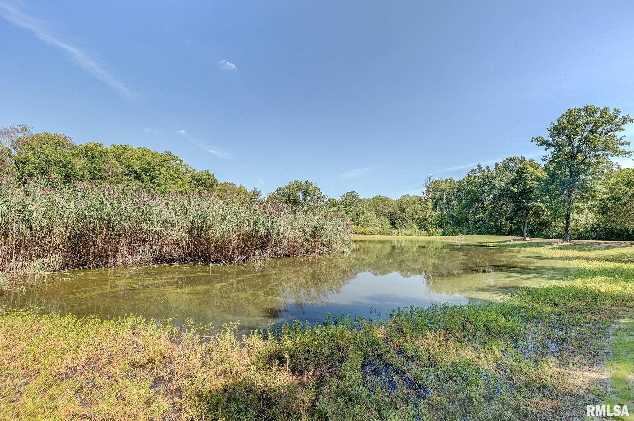 0 North Clear Lane Mount Vernon, IL 62864 - Photo 23 of 31