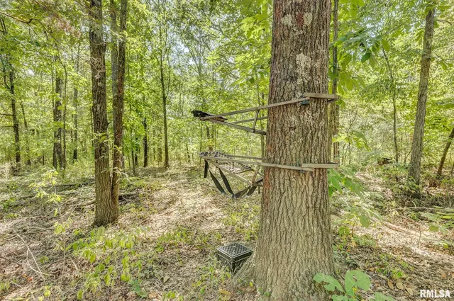 $558,500 | 0 North Clear Lane, Mount Vernon, IL 62864