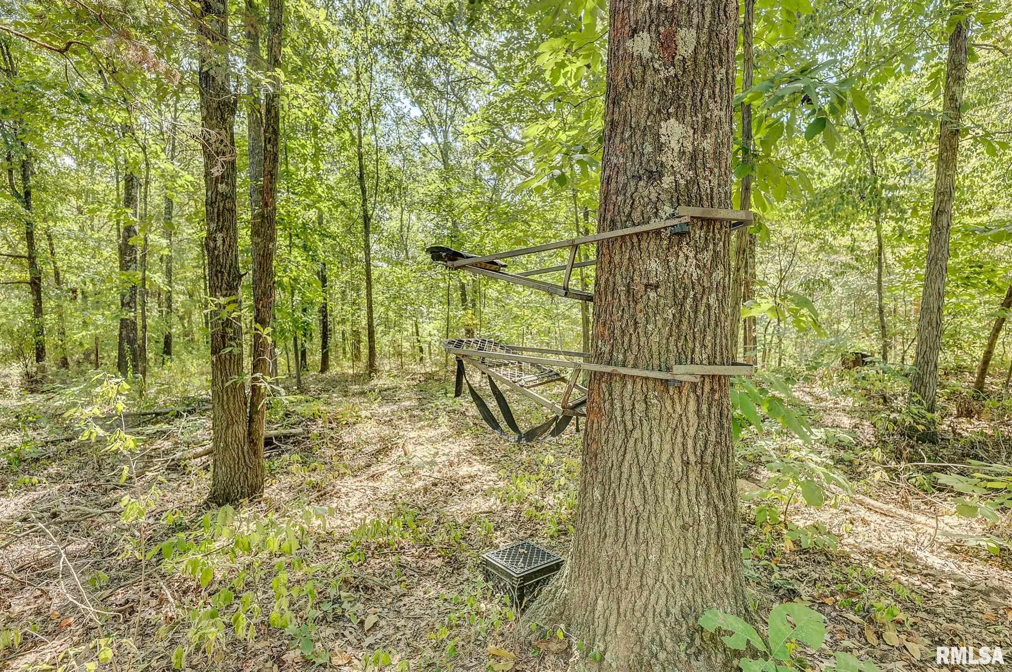 0 North Clear Lane Mount Vernon, IL 62864 - Photo 26 of 31