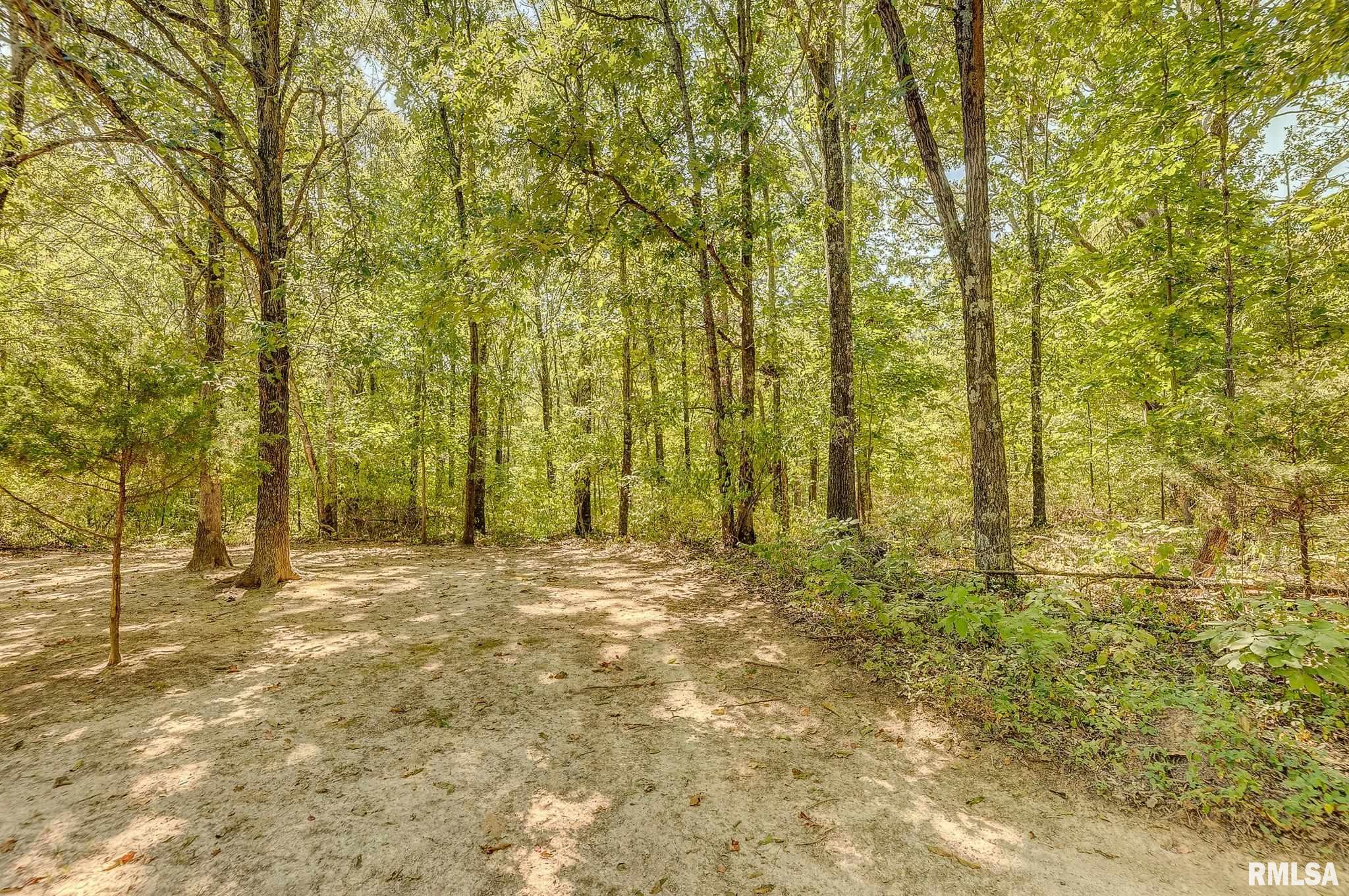 0 North Clear Lane Mount Vernon, IL 62864 - Photo 5 of 31