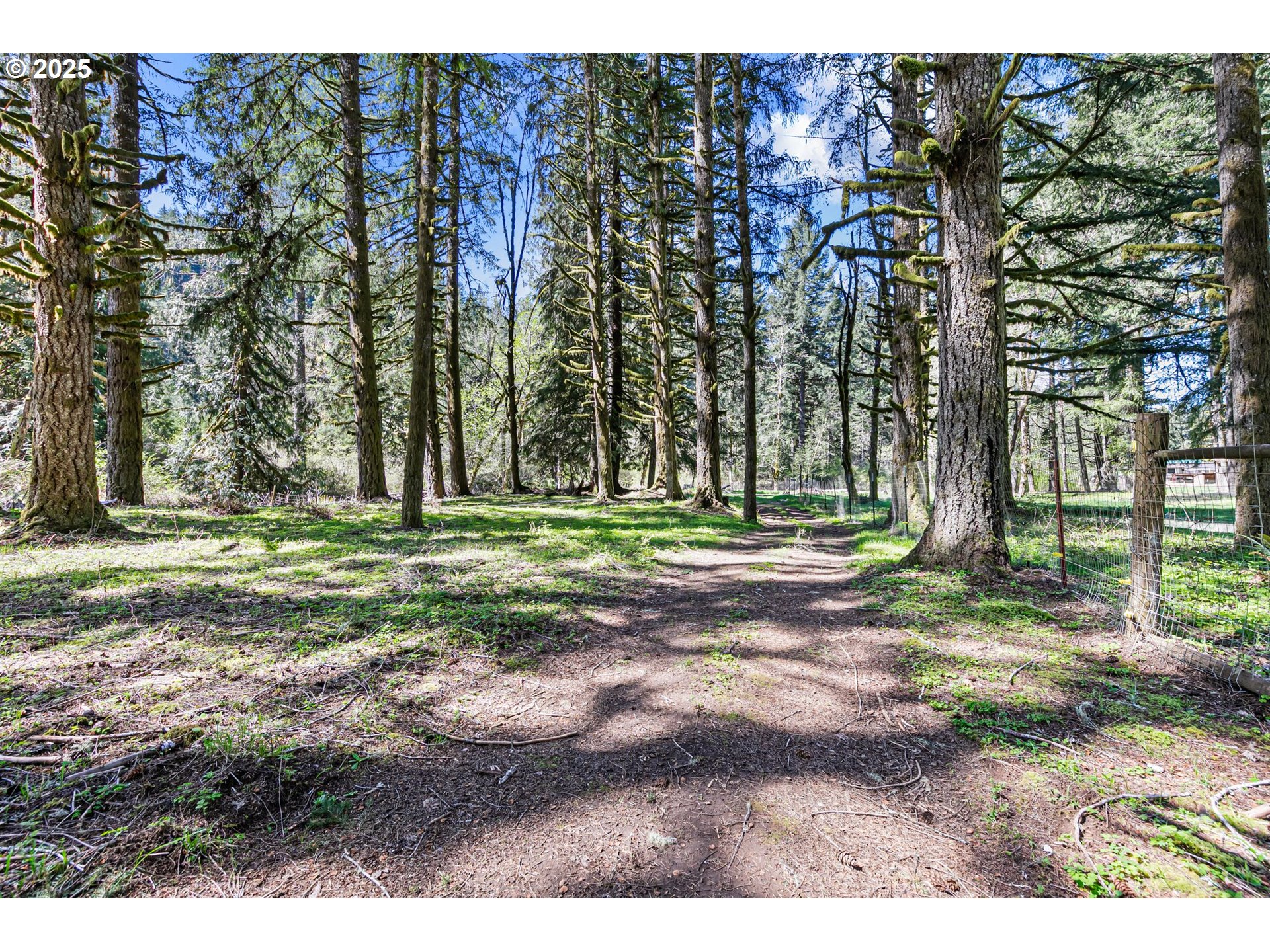 24458 Panther Creek Road Veneta, OR 97487 - Photo 34 of 46 a view of outdoor space with trees