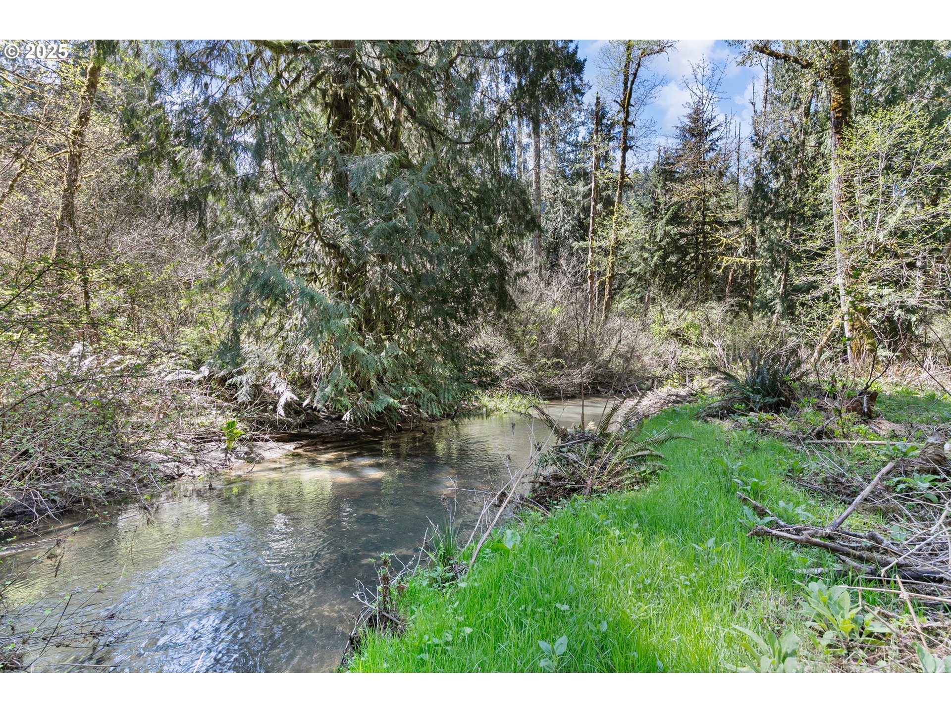 24458 Panther Creek Road Veneta, OR 97487 - Photo 37 of 46 a view of a lake with top of house