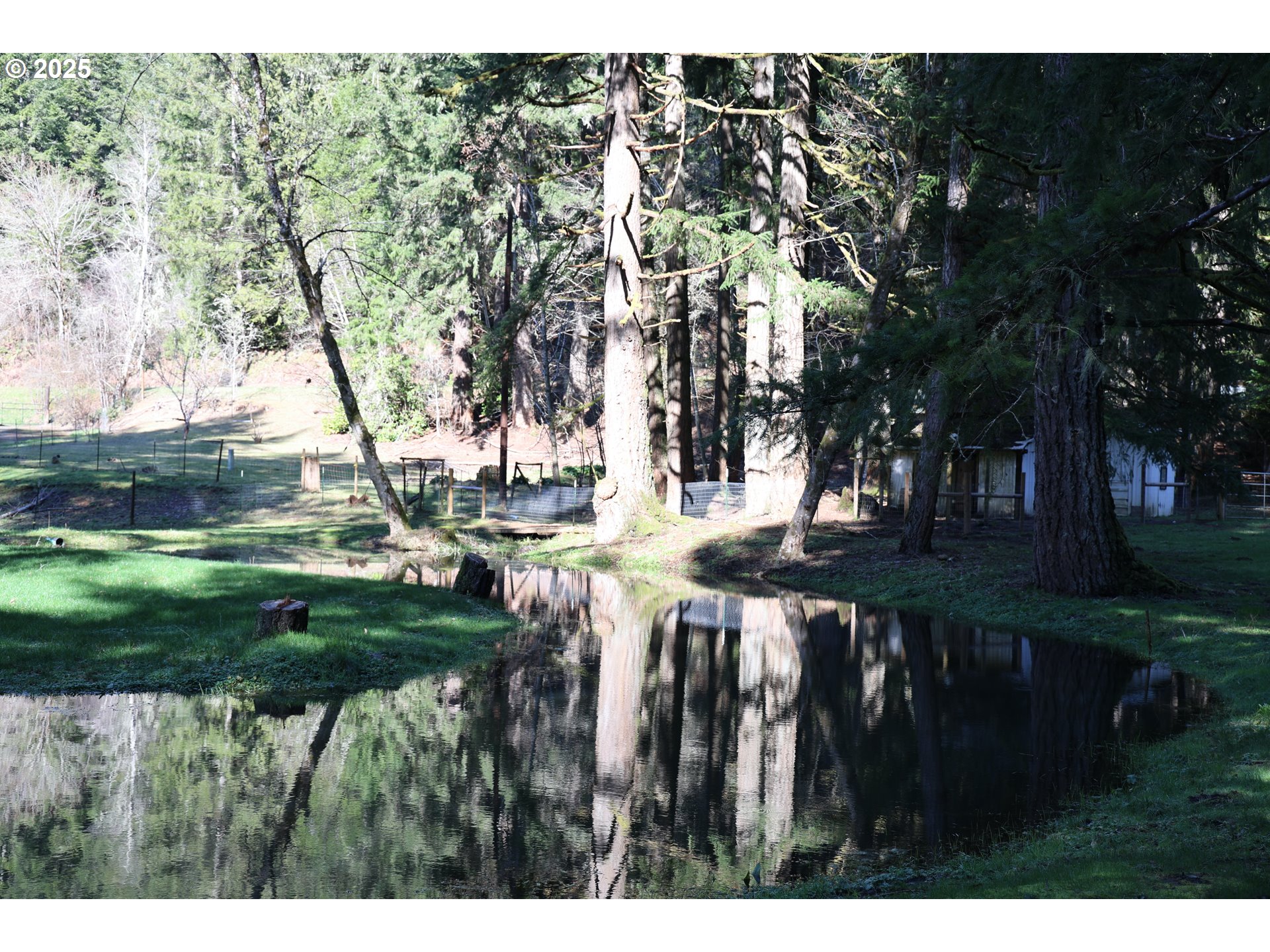 24458 Panther Creek Road Veneta, OR 97487 - Photo 46 of 46 a view of yard with green space