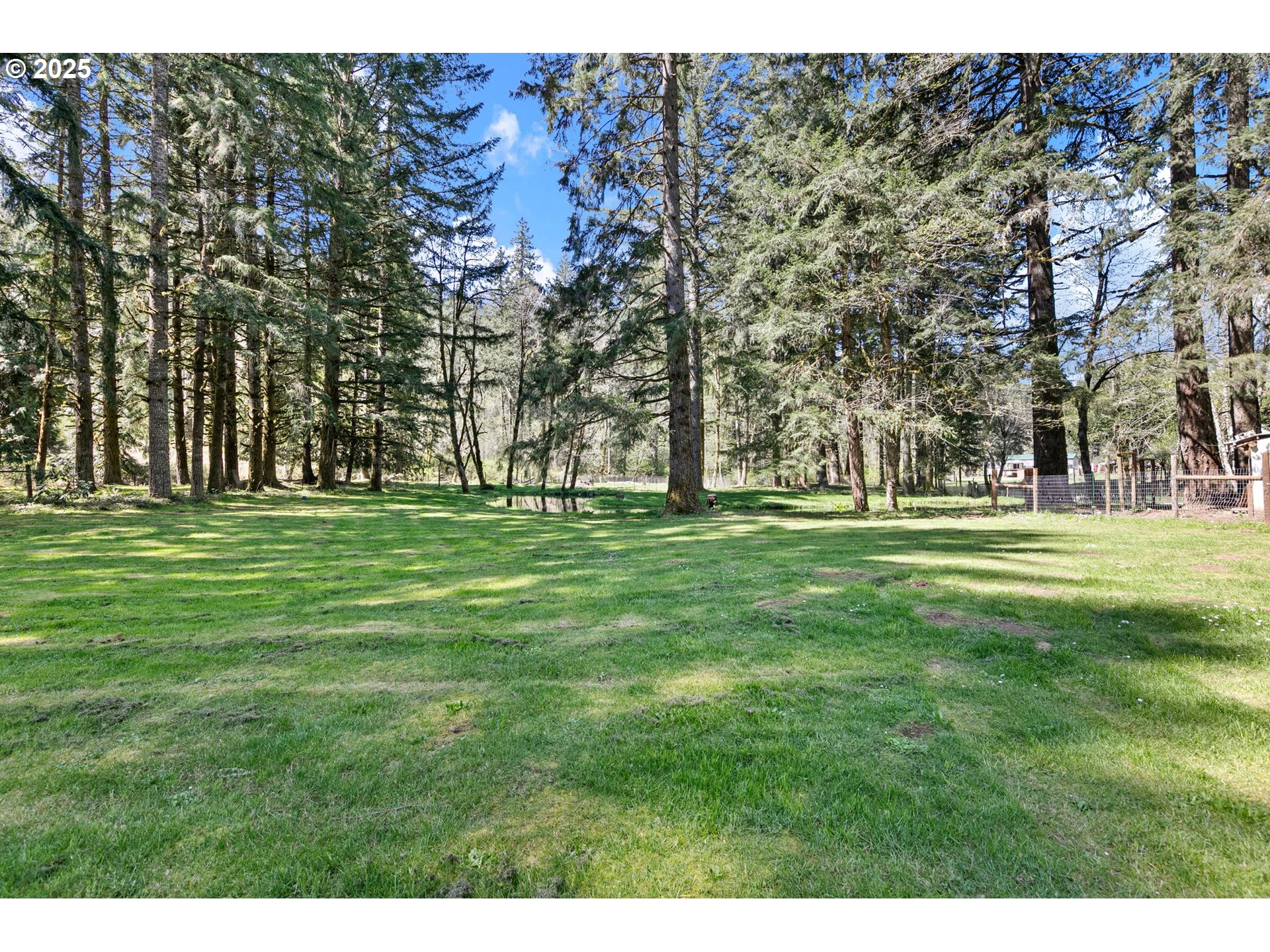 24458 Panther Creek Road Veneta, OR 97487 - Photo 6 of 46