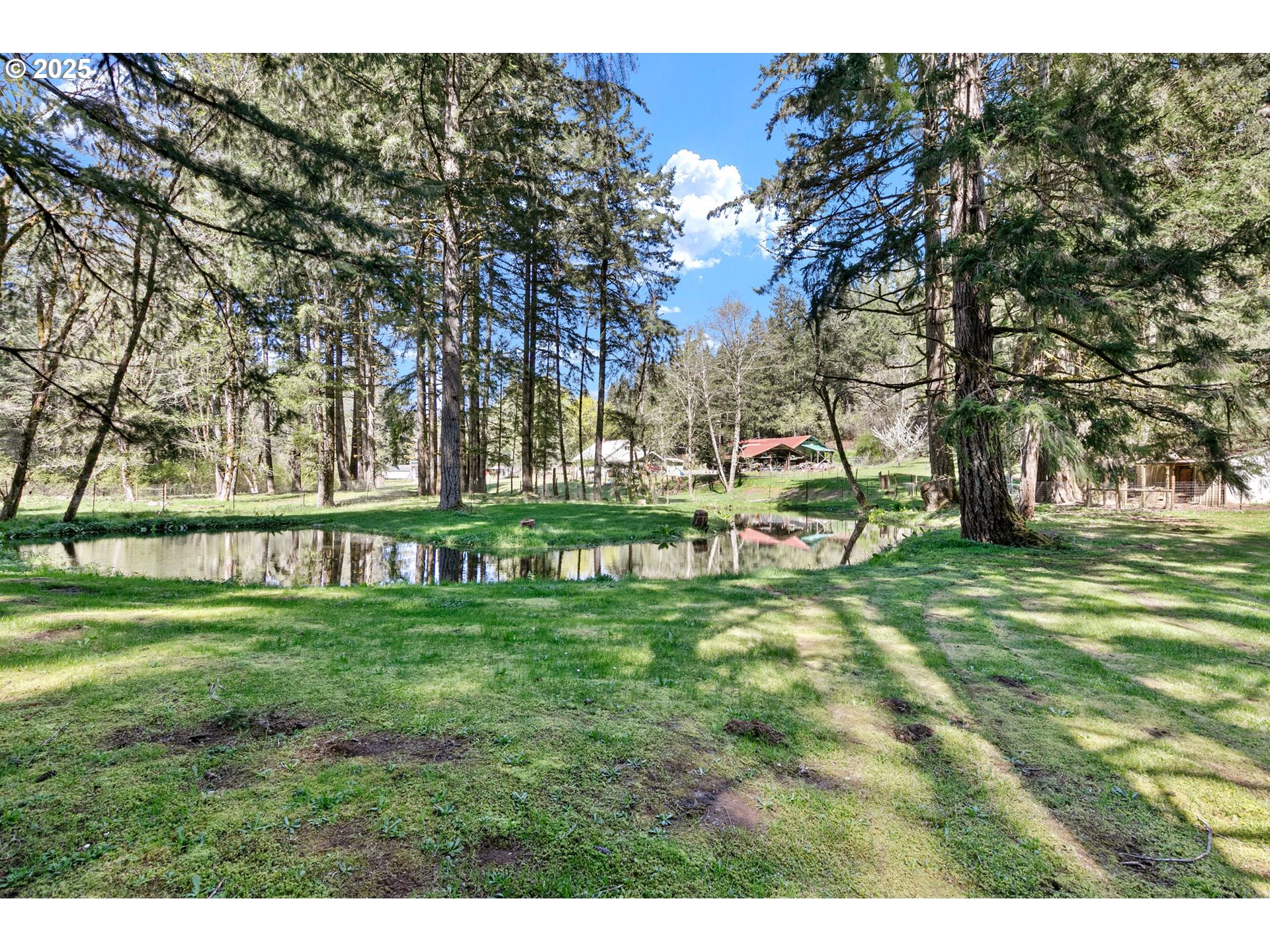 24458 Panther Creek Road Veneta, OR 97487 - Photo 7 of 46 a view of a park with large trees