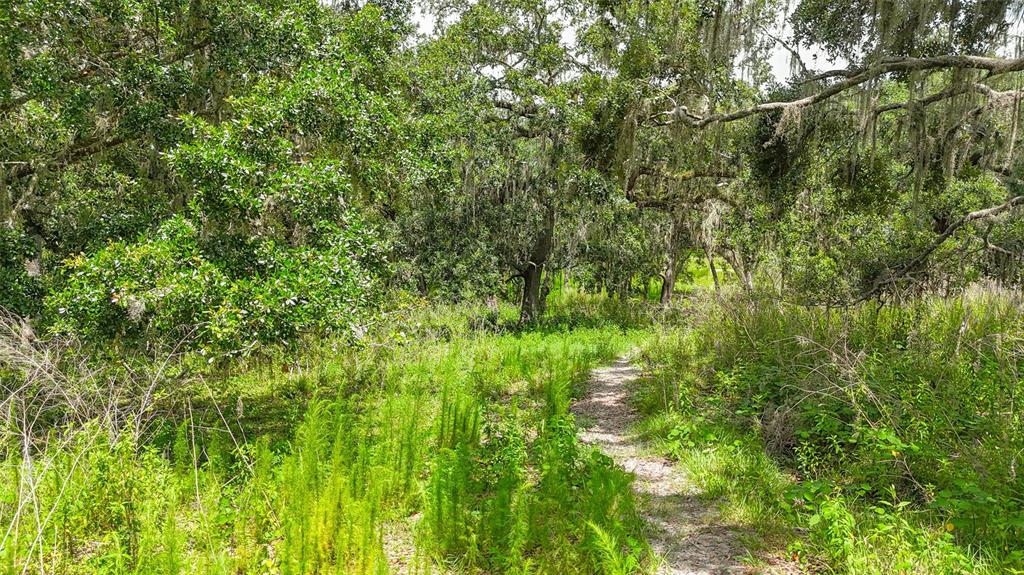 14409 Curley Road Dade City, FL 33525 - Photo 11 of 52