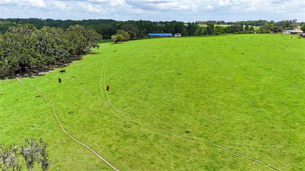 14409 Curley Road Dade City, FL 33525 - Photo 12 of 52