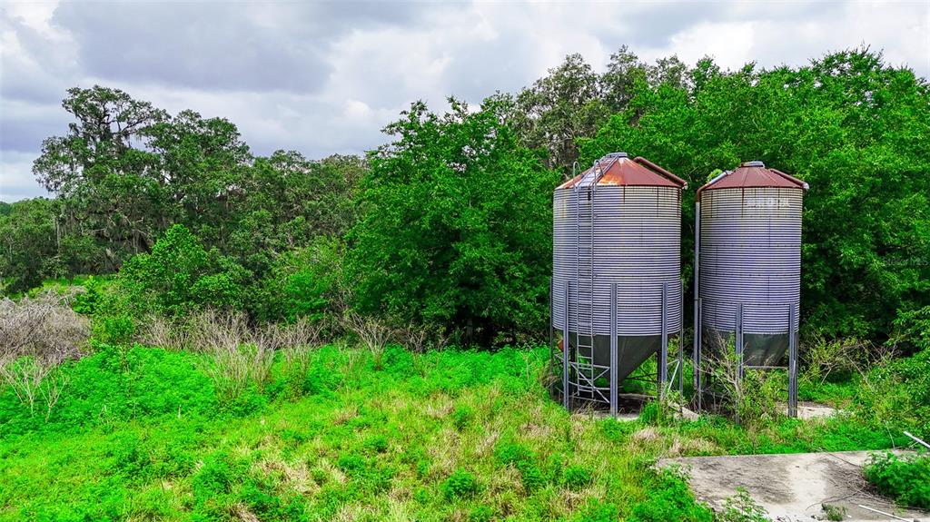 14409 Curley Road Dade City, FL 33525 - Photo 13 of 52