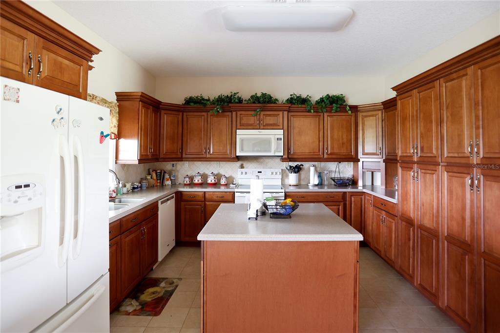 14409 Curley Road Dade City, FL 33525 - Photo 24 of 52