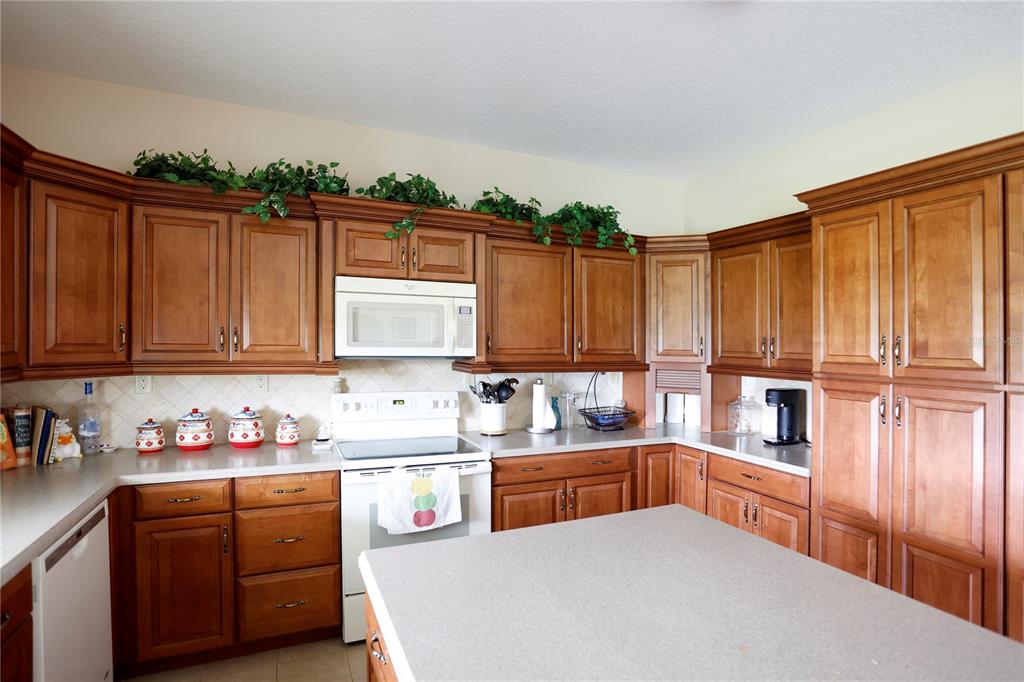 14409 Curley Road Dade City, FL 33525 - Photo 25 of 52