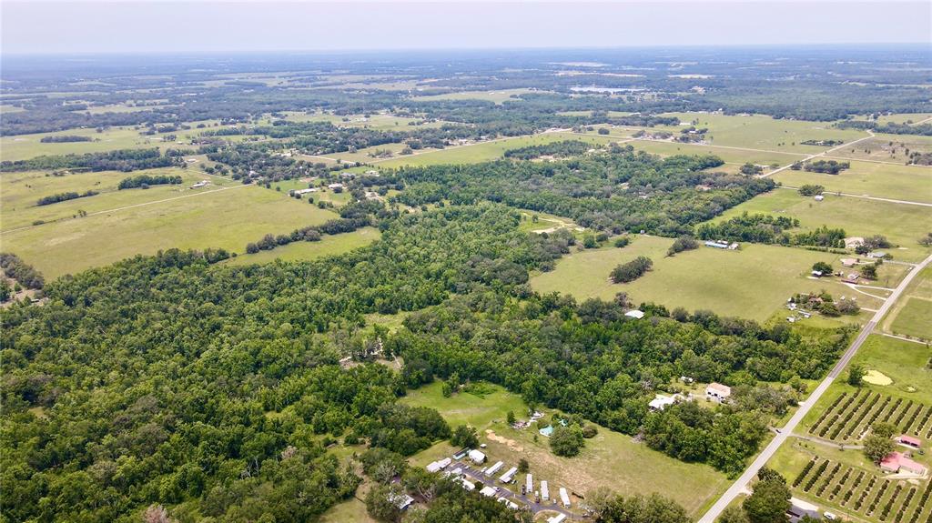 14409 Curley Road Dade City, FL 33525 - Photo 4 of 52