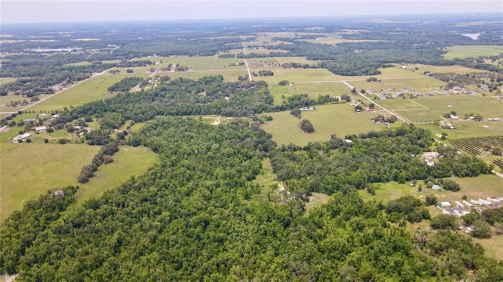 14409 Curley Road Dade City, FL 33525 - Photo 5 of 52