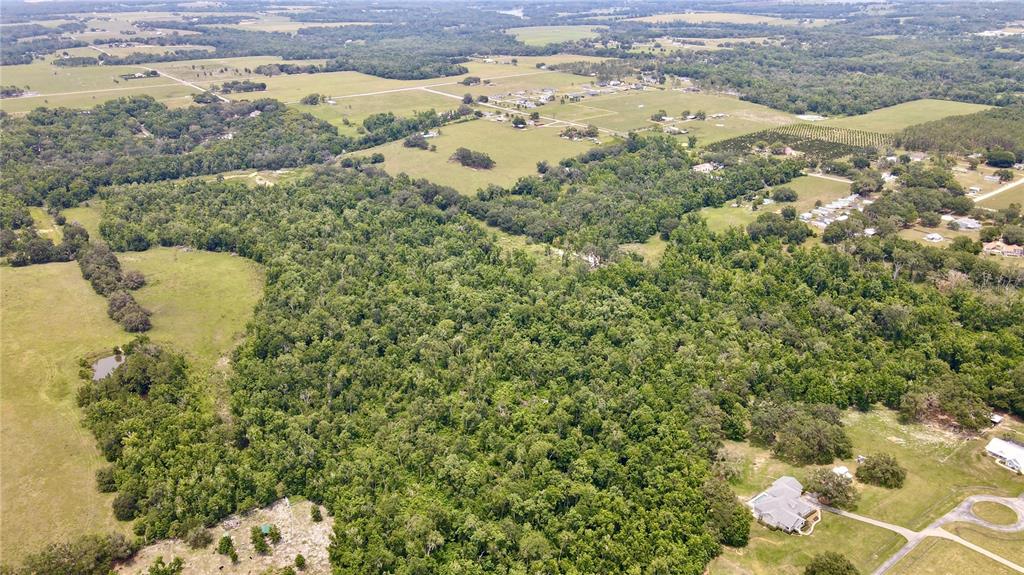 14409 Curley Road Dade City, FL 33525 - Photo 6 of 52