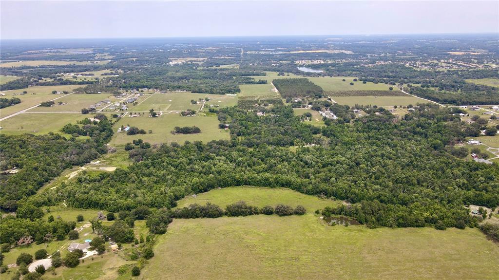 14409 Curley Road Dade City, FL 33525 - Photo 7 of 52