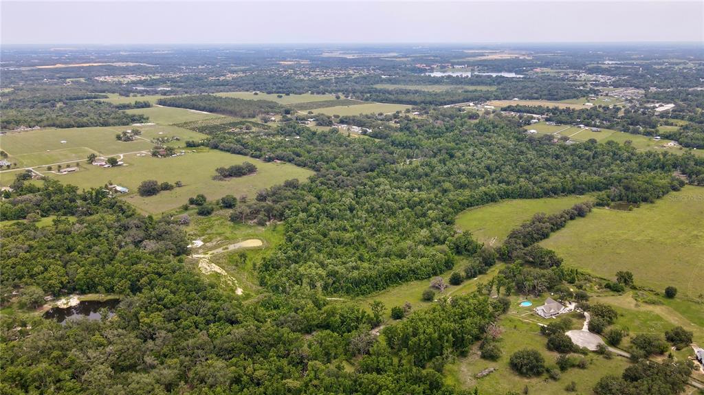 14409 Curley Road Dade City, FL 33525 - Photo 8 of 52