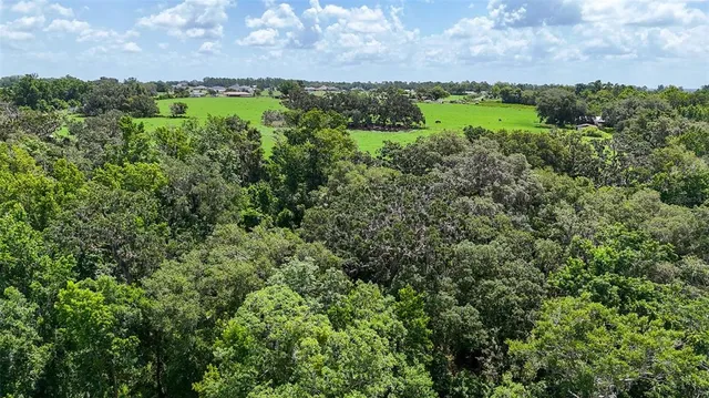 $4,000,000 | 14409 Curley Road, Dade City, FL 33525