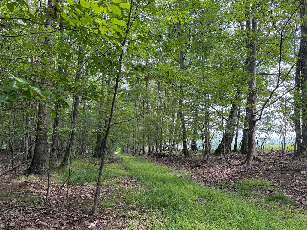 Vl Barney Road North Fillmore, NY 14735 - Photo 27 of 50 Gallery Image 27