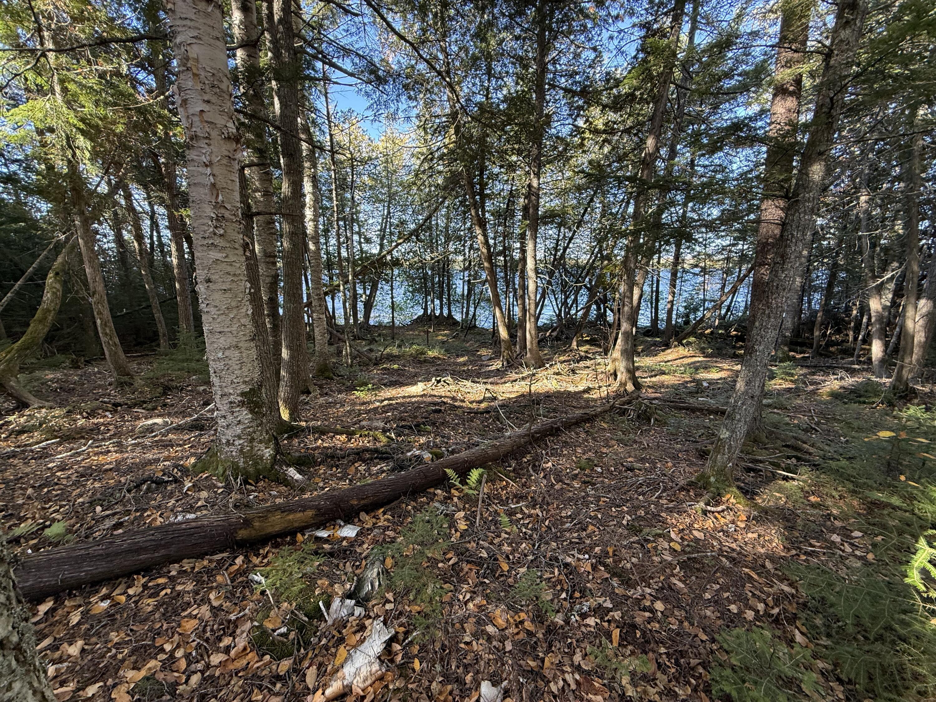 2 East Shore Road Wytopitlock, ME 04497 - Photo 8 of 16