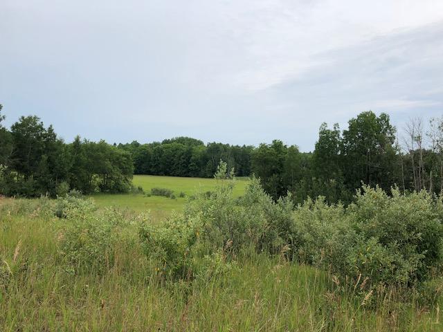 8495 North Black River Road Cheboygan, MI 49721 - Photo 28 of 30 Gallery Image 28