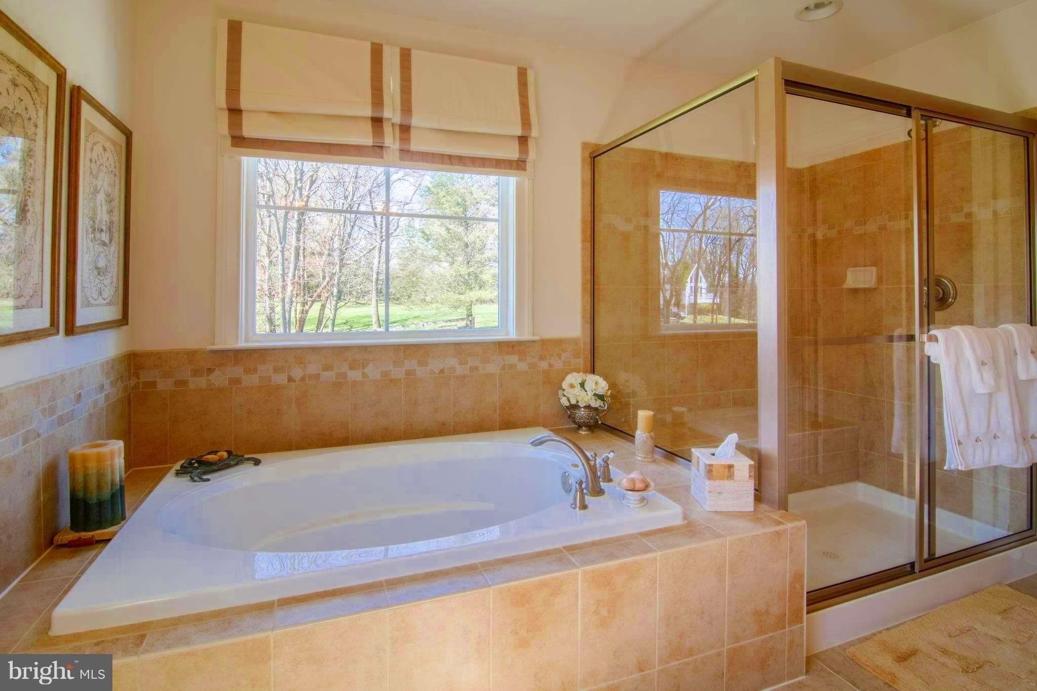 2 Paladia Way Baltimore, MD 21208 - Photo 16 of 30 Bath (Master)